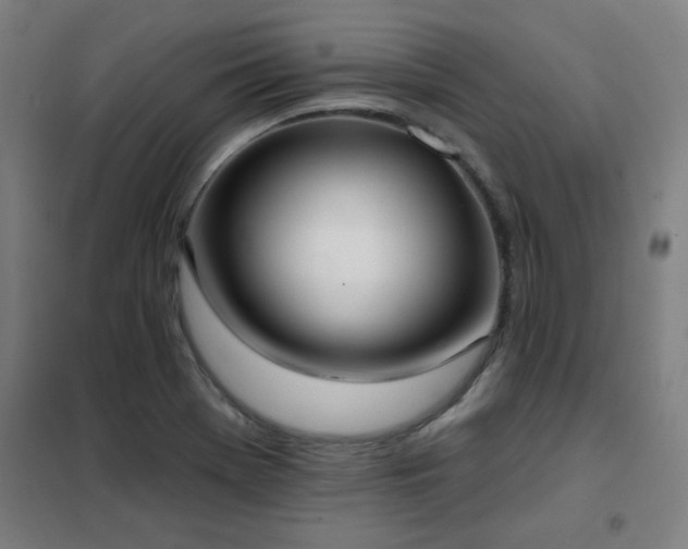 X0000102291369200807251412