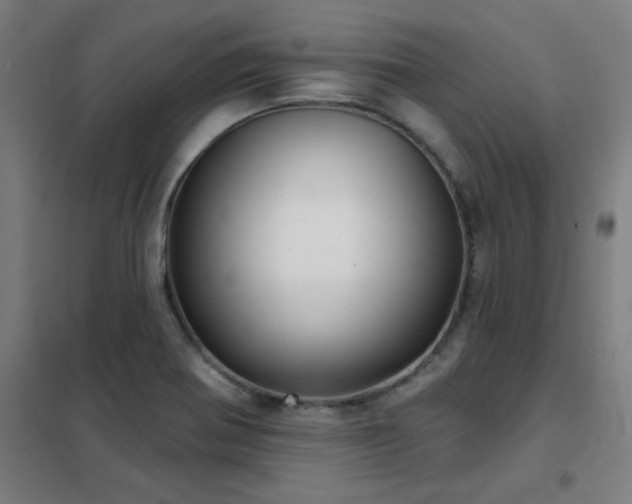 X0000102291370200807251412