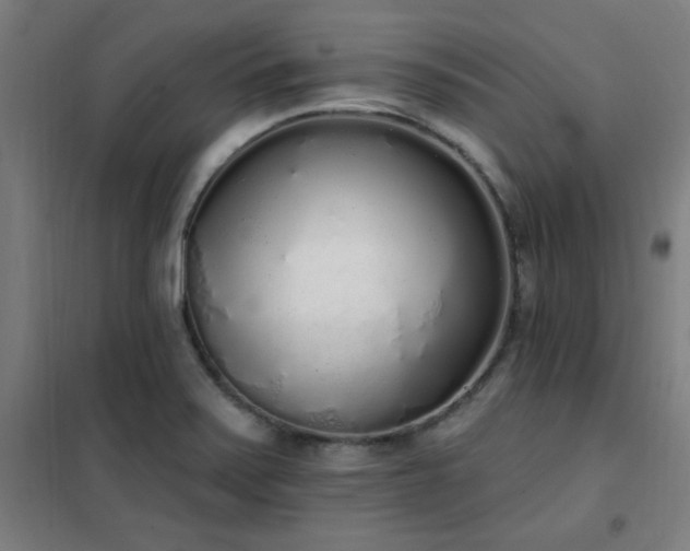 X0000102291371200807251412