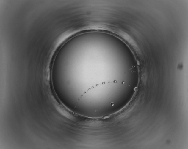 X0000102291372200807251412