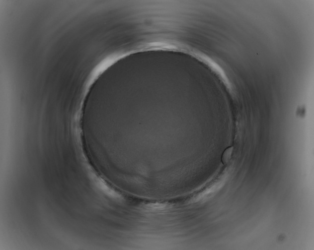 X0000102291373200807251412