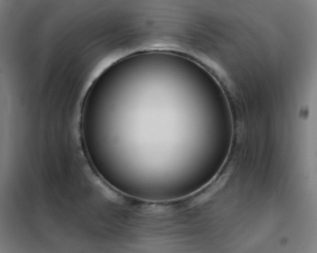 X0000102291374200807251412