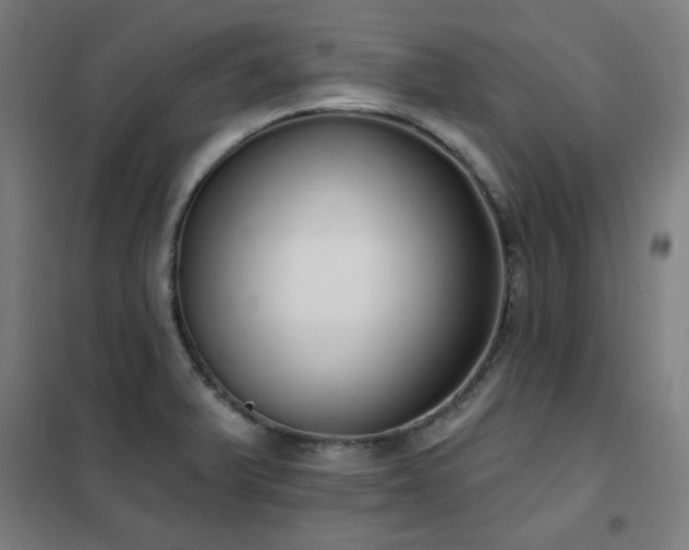 X0000102291375200807251412