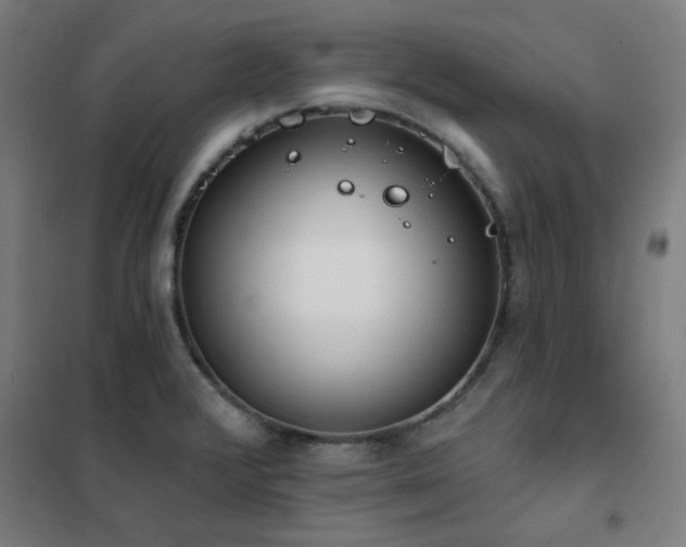 X0000102291376200807251412
