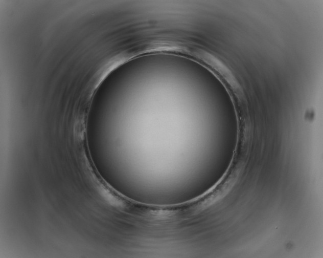 X0000102291377200807251412
