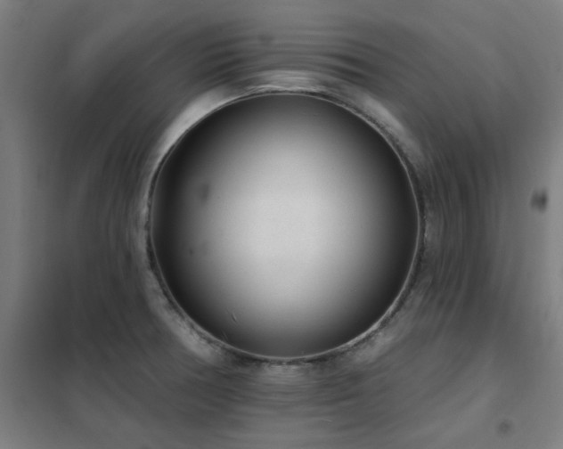 X0000102291378200807251412