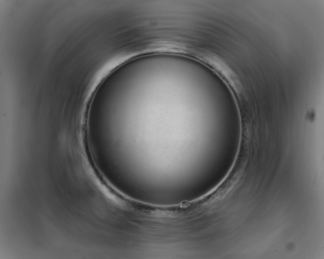 X0000102291379200807251412