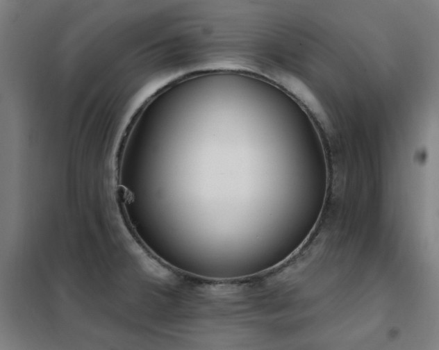 X0000102291380200807251412