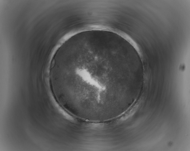 X0000102291381200807251412