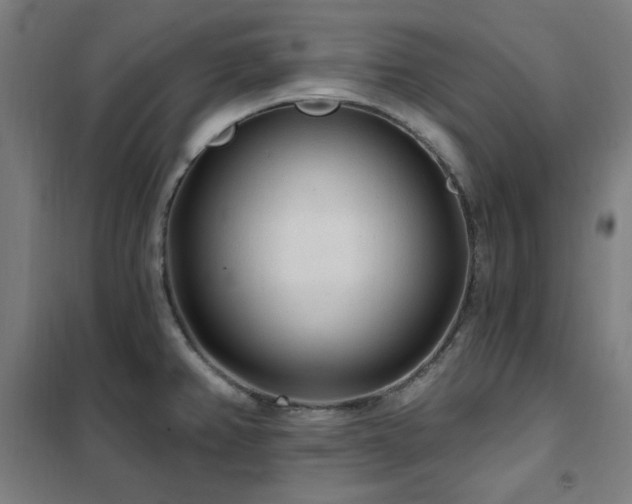 X0000102291382200807251412