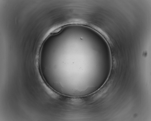 X0000102291383200807251412