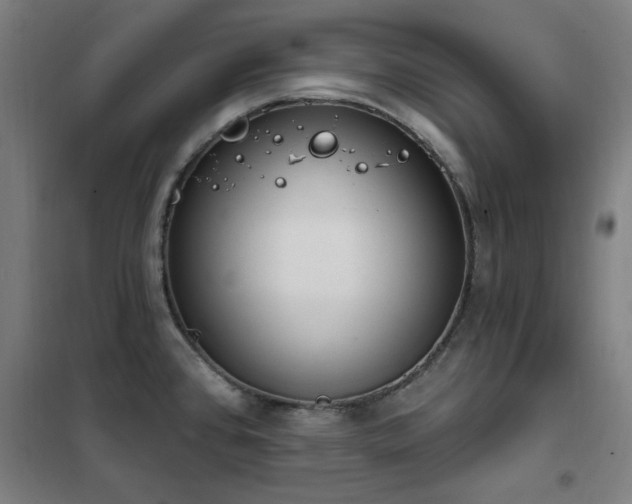 X0000102291384200807251412
