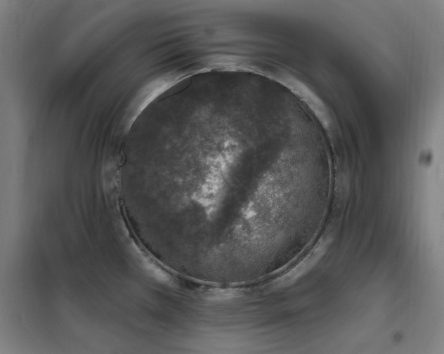 X0000102291385200807251412
