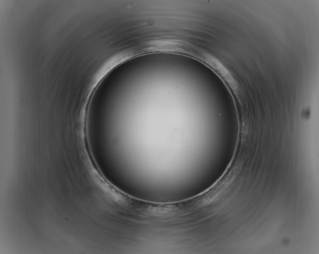 X0000102291386200807251412