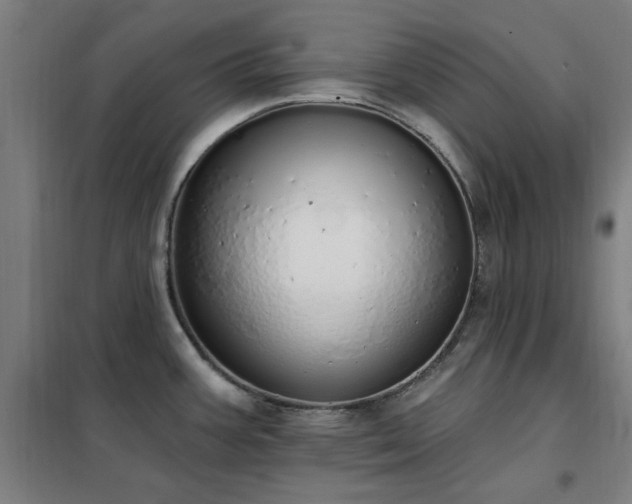 X0000102291387200807251411
