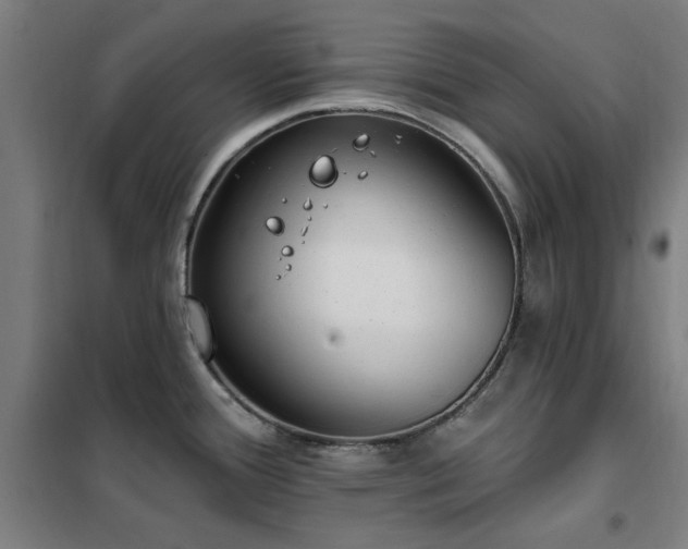 X0000102291388200807251411