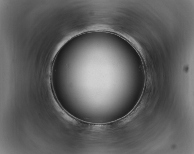 X0000102291390200807251411