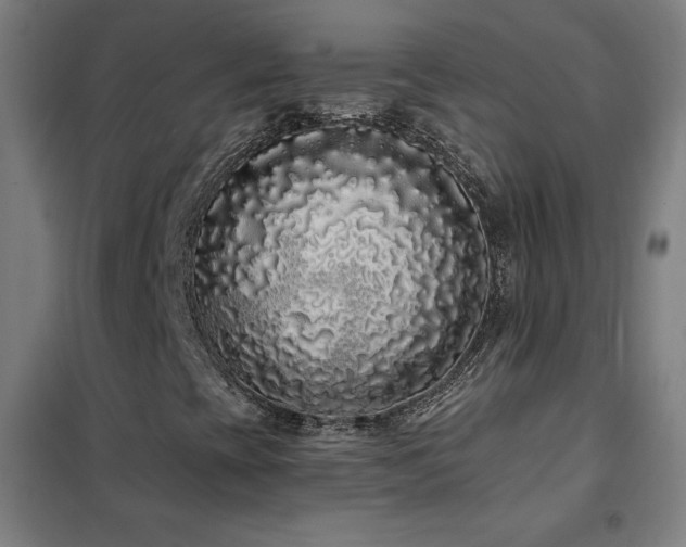 X0000102291393200807251411