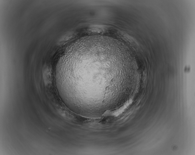 X0000102291394200807251411