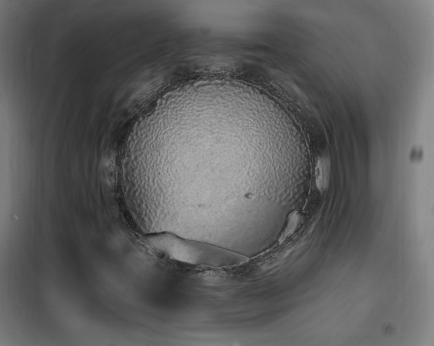 X0000102291395200807251411