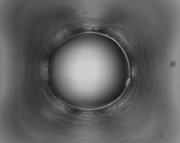 X0000102291396200807251411