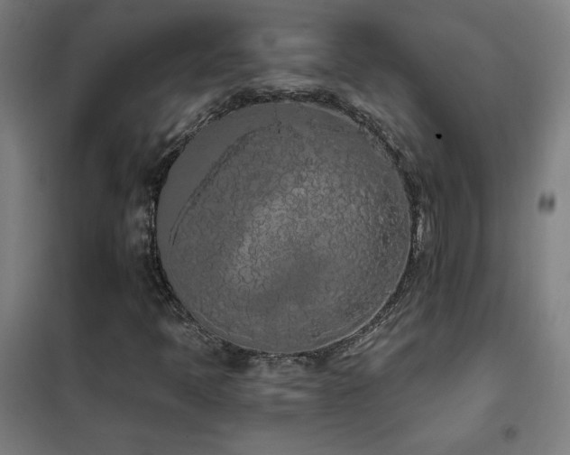 X0000102291397200807251411