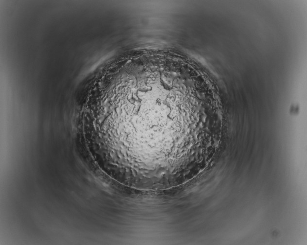 X0000102291399200807251411