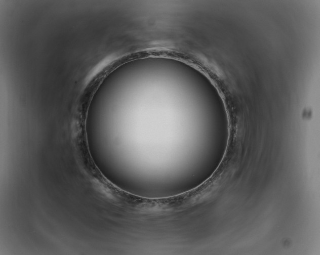 X0000102291400200807251411