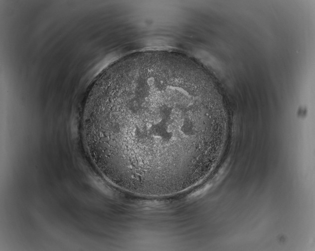 X0000102291401200807251411