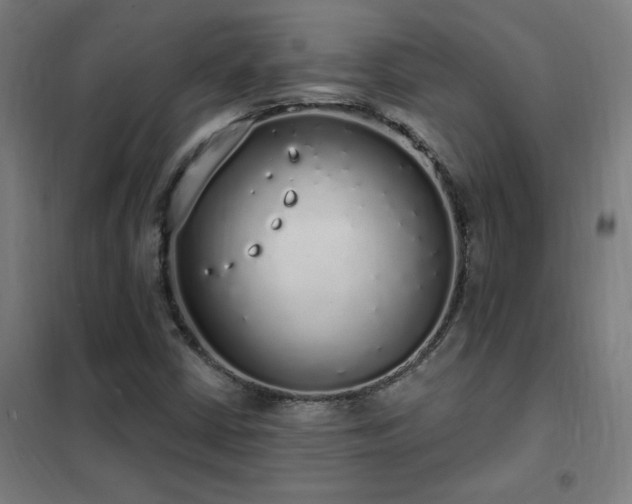 X0000102291402200807251411
