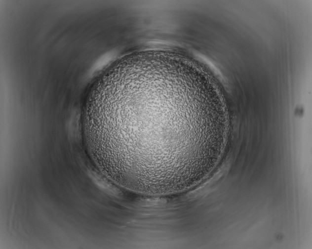 X0000102291403200807251411