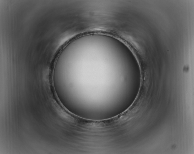 X0000102291404200807251411