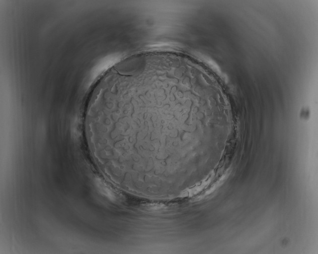 X0000102291405200807251411