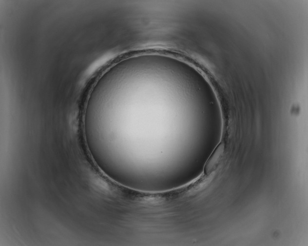 X0000102291406200807251411