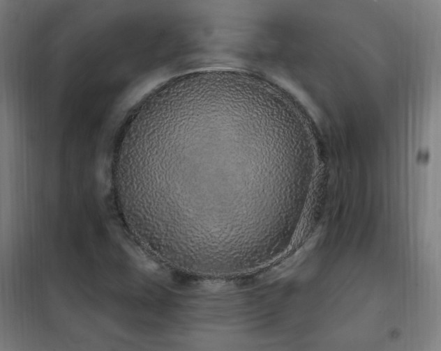 X0000102291407200807251411