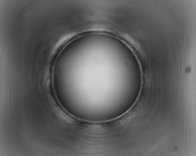 X0000102291408200807251411