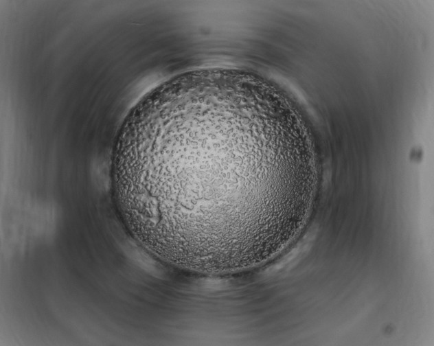 X0000102291409200807251411