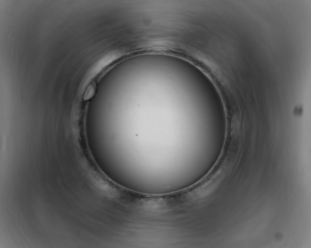 X0000102291410200807251411