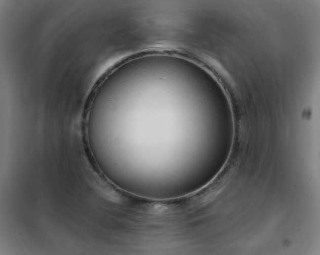 X0000102291412200807251411