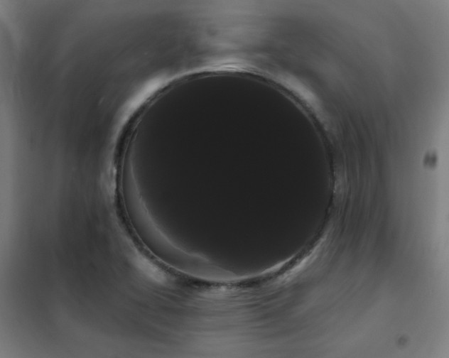X0000102291414200807251411