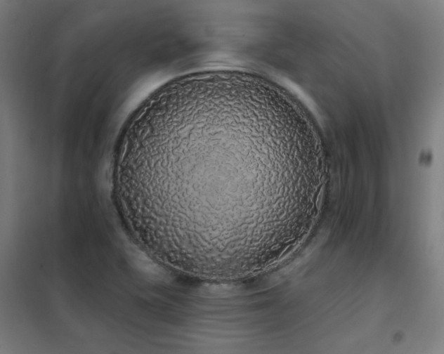 X0000102291415200807251411