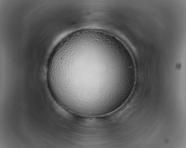 X0000102291416200807251411