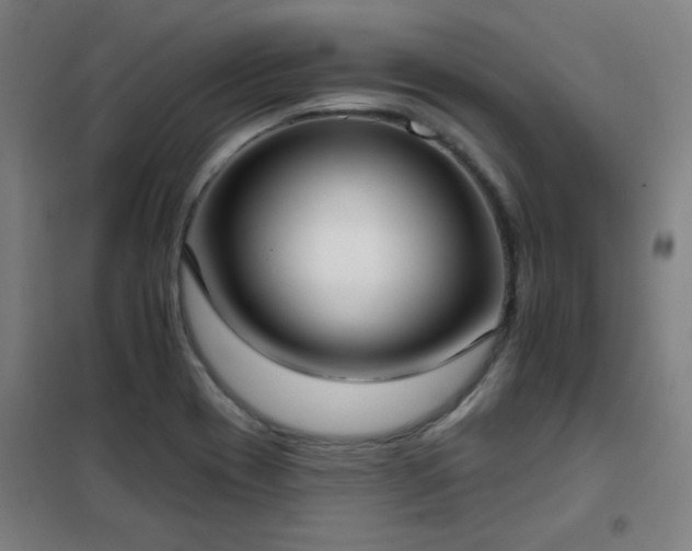 X0000102291417200807251411