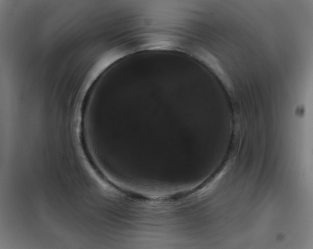 X0000102291418200807251411