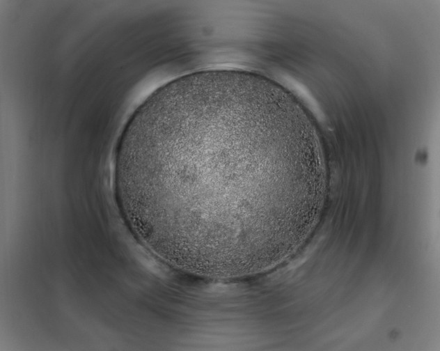 X0000102291419200807251411