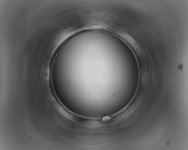 X0000102291420200807251411