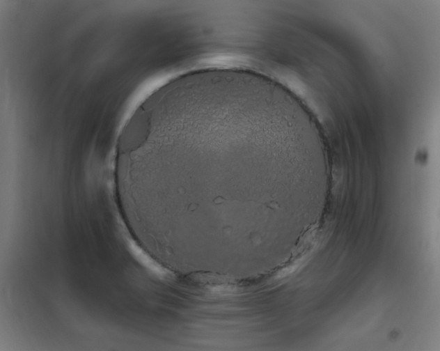 X0000102291421200807251411