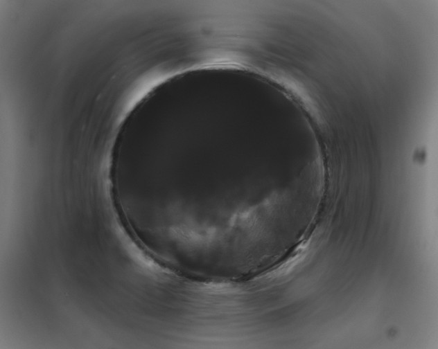 X0000102291422200807251411