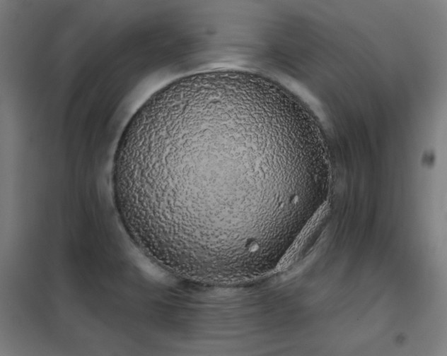 X0000102291423200807251411