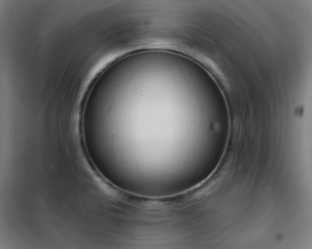 X0000102291424200807251411